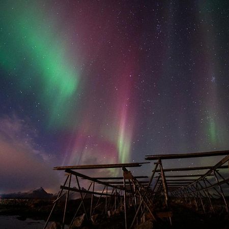 Fish Factory -The Real Lofoten Experience Ballstad Eksteriør billede