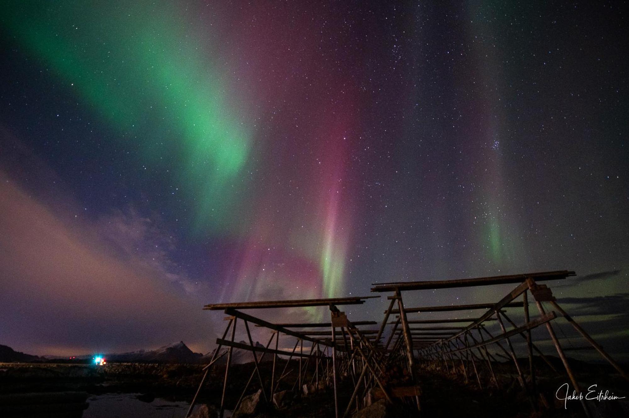 Fish Factory -The Real Lofoten Experience Ballstad Eksteriør billede